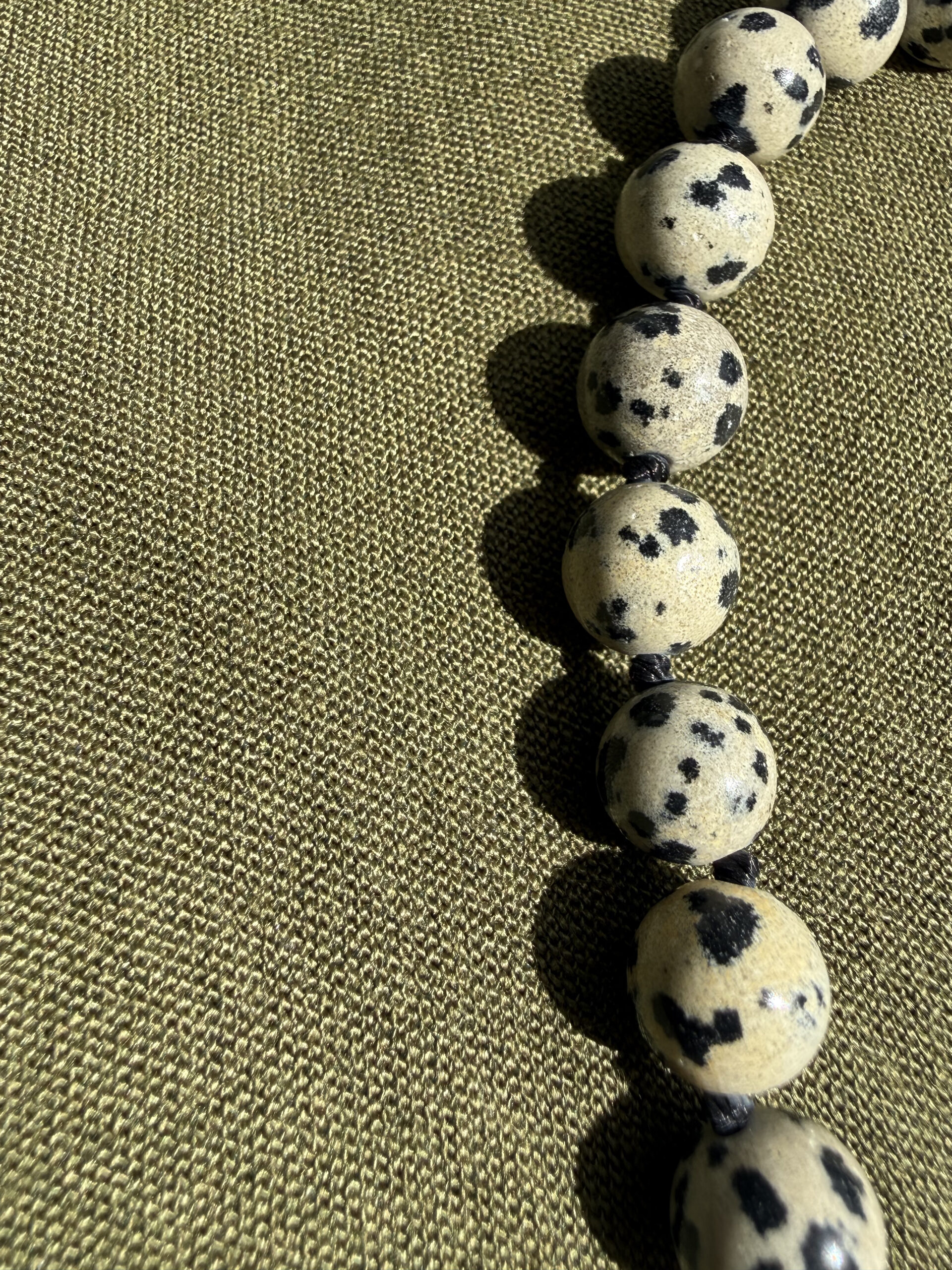 Dalmatinerjaspiskette classic Fokus